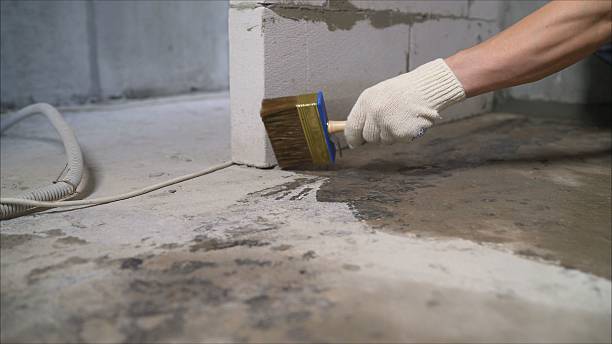 SJ Waterproofing Pros Crawl Space Encapsulation coverage map for Auburn, MI and surrounding area